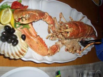 Yachtcharter Kornati